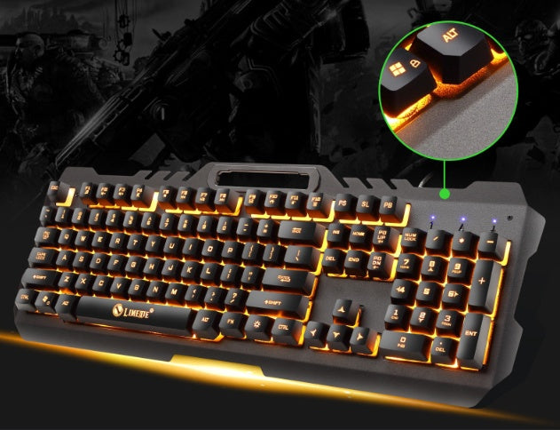 Computer keyboard and mouse combo