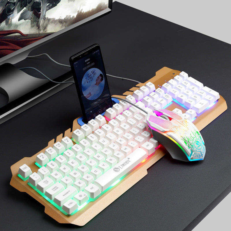 Computer keyboard and mouse combo