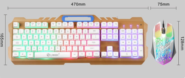 Computer keyboard and mouse combo